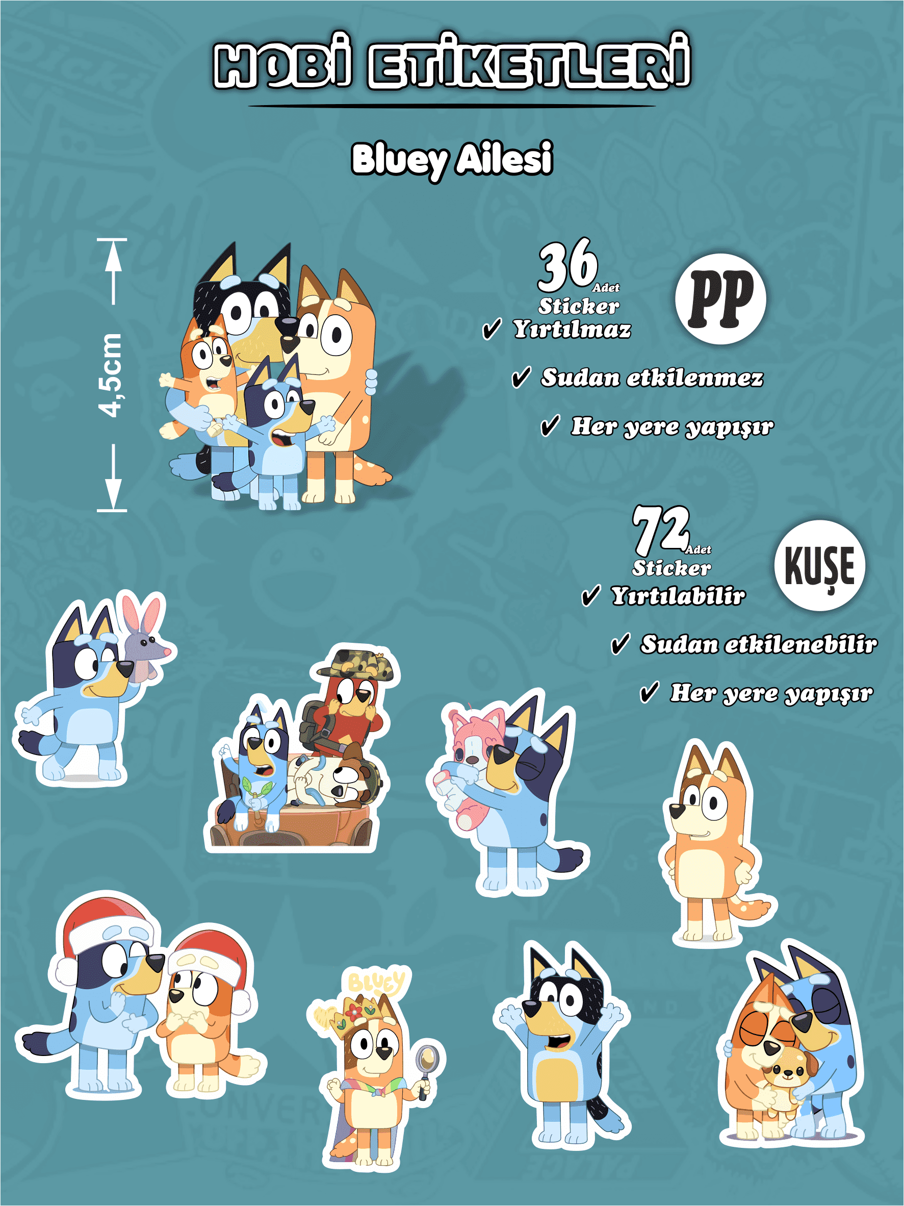 Bluey_Hobi_36_72