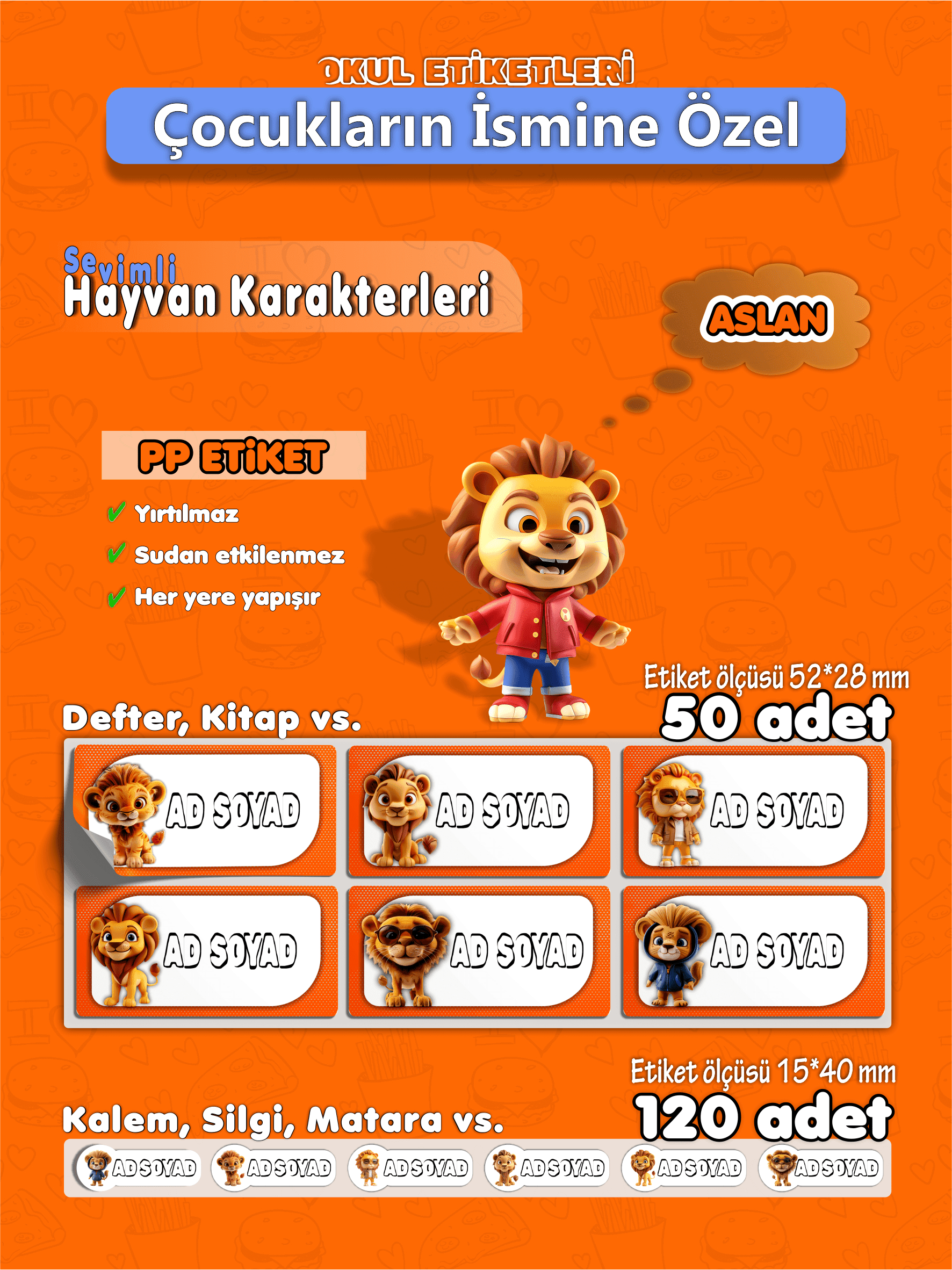 Aslan_PP